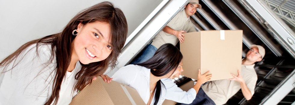 Professional Removalists Hartley Vale